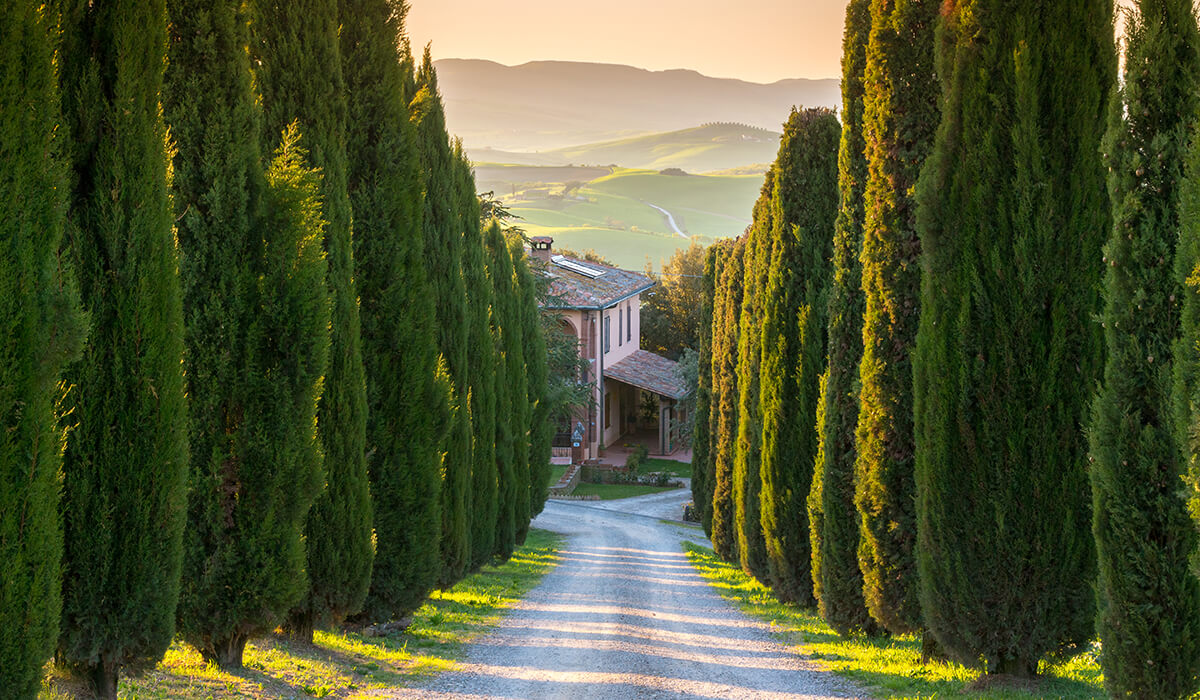 Orcia Valley